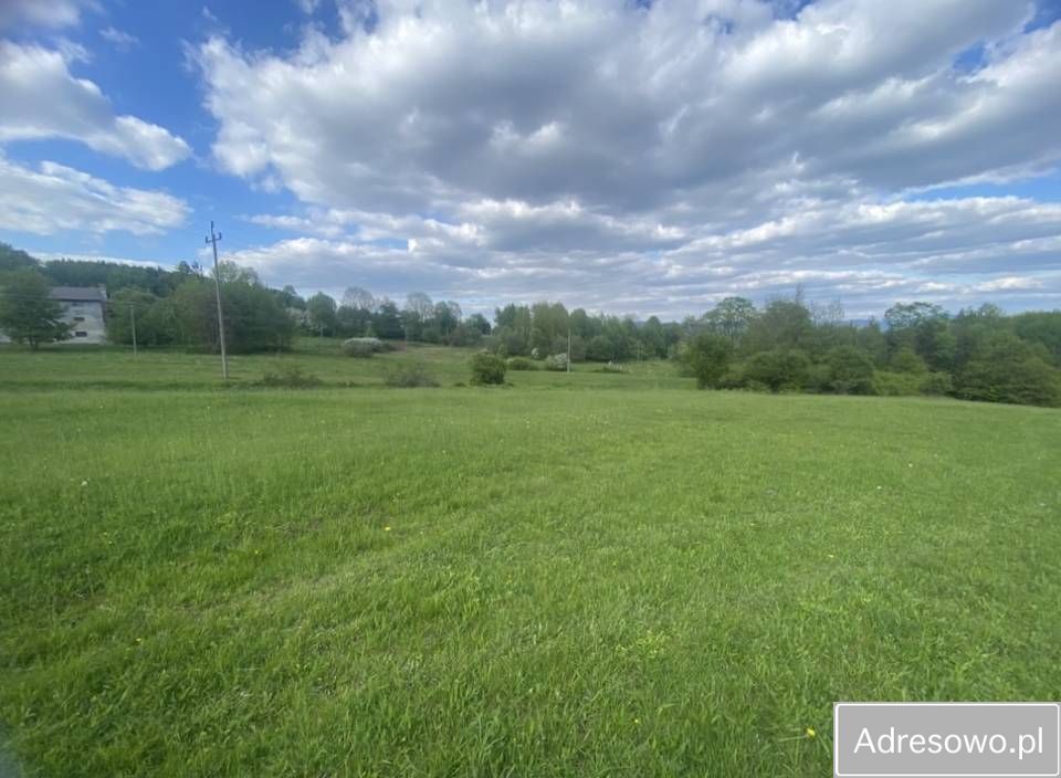 Działka budowlana Grzechynia