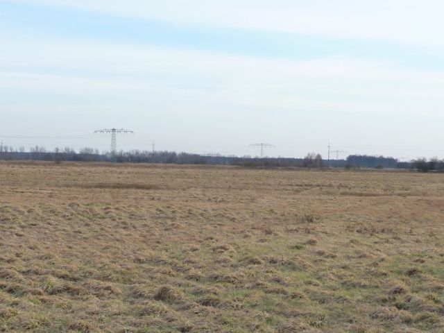 Działka rolna Lubsko. Zdjęcie 1