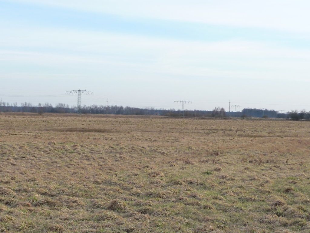 Działka rolna Lubsko