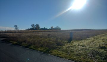 Działka budowlana Raciąż, ul. Leśna