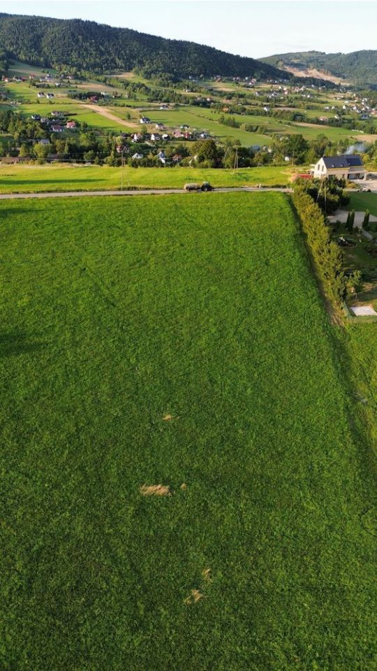 Działka rolno-budowlana Pisarzowa. Zdjęcie 5