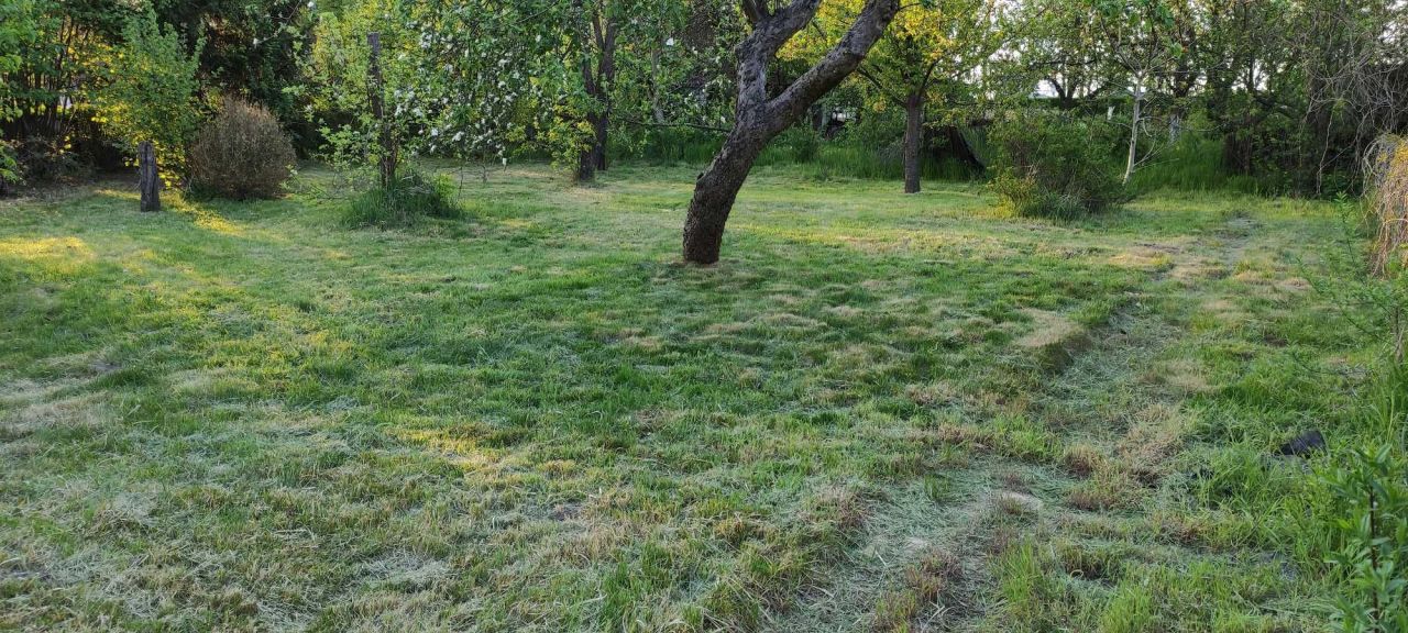 Działka rod Zabrze. Zdjęcie 3