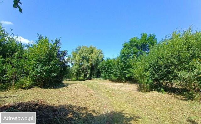 Działka budowlana Lubiechowa, ul. Polna. Zdjęcie 1