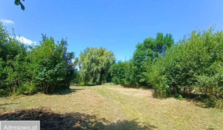 Działka budowlana Lubiechowa, ul. Polna