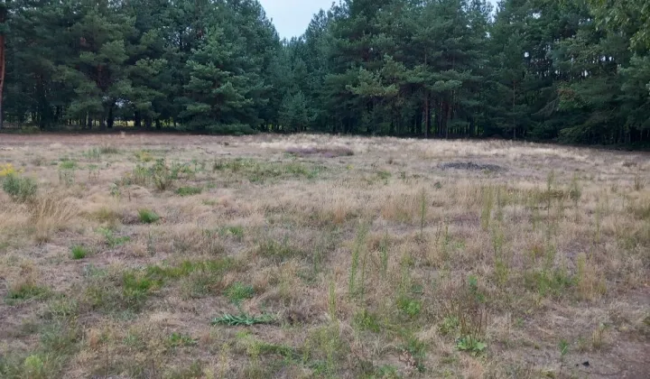 Działka budowlana Przyszów, ul. Malinowa