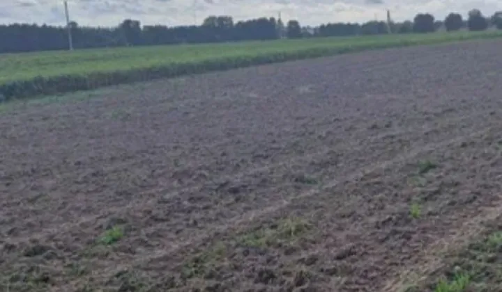Działka rolna Rudki