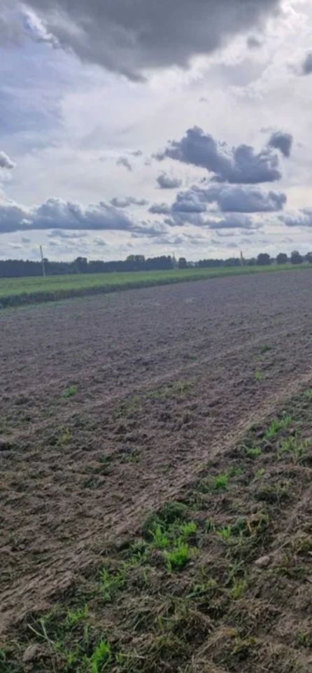 Działka rolna Rudki. Zdjęcie 1