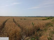 Działka siedliskowa Gdańsk Orunia, ul. Niegowo. Zdjęcie 4