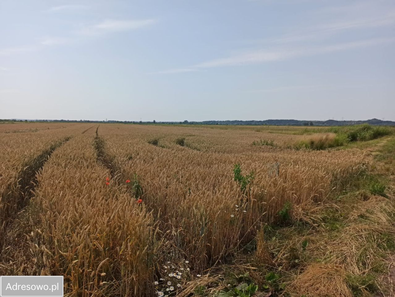 Działka siedliskowa Gdańsk Orunia, ul. Niegowo. Zdjęcie 5