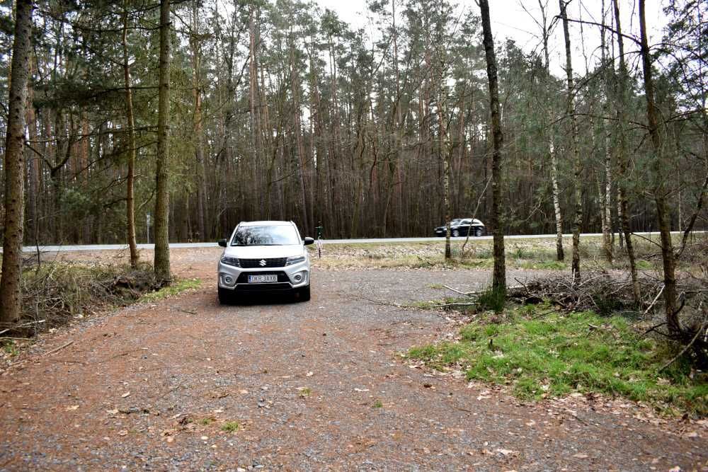 Działka leśna Smolarnia. Zdjęcie 5