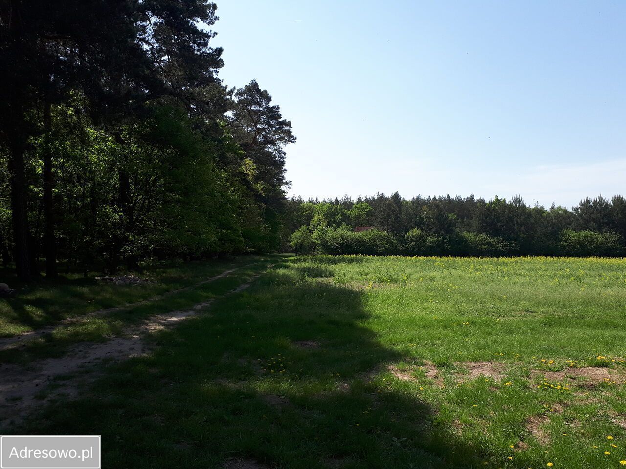 Działka budowlana Wójcice. Zdjęcie 5