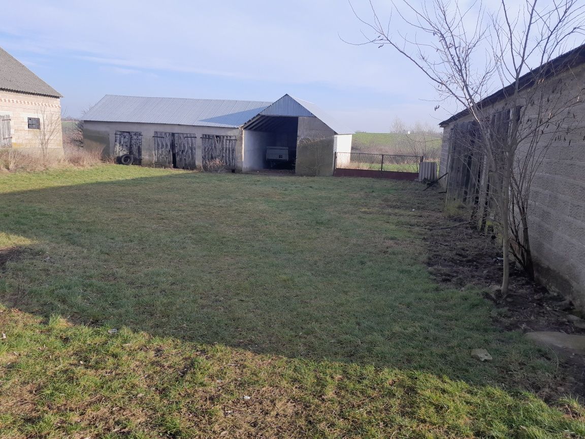 Działka budowlana Chalno. Zdjęcie 4