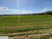 Działka budowlana Blizne. Zdjęcie 1