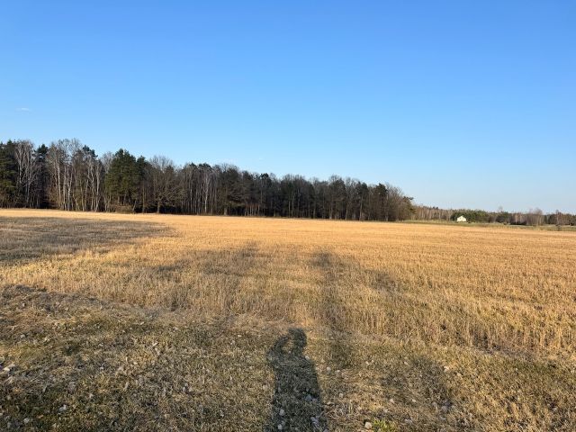 Działka budowlana Zahajki Kacze Dołki. Zdjęcie 1
