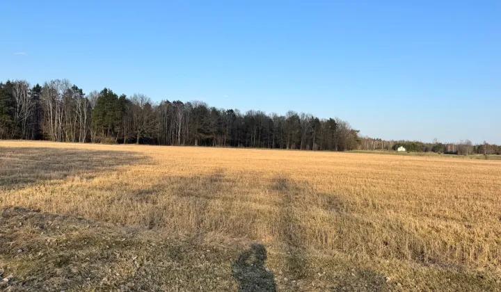 Działka budowlana Zahajki Kacze Dołki