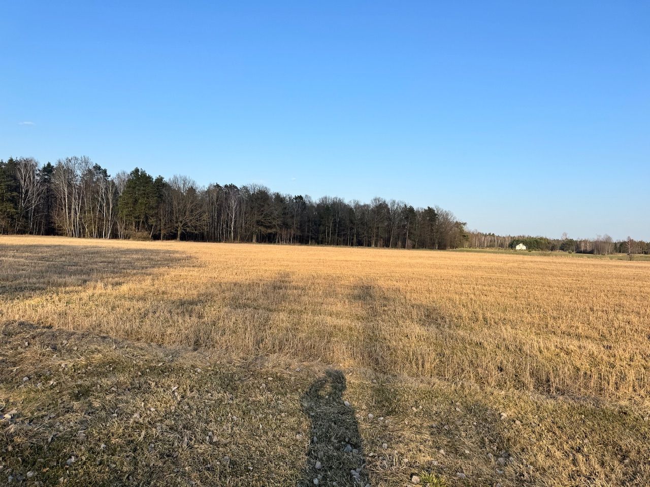 Działka budowlana Zahajki Kacze Dołki, Zahajki. Zdjęcie 3