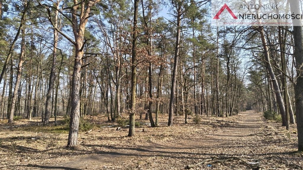 bliźniak, 5 pokoi Warszawa, ul. Obrębowa. Zdjęcie 8