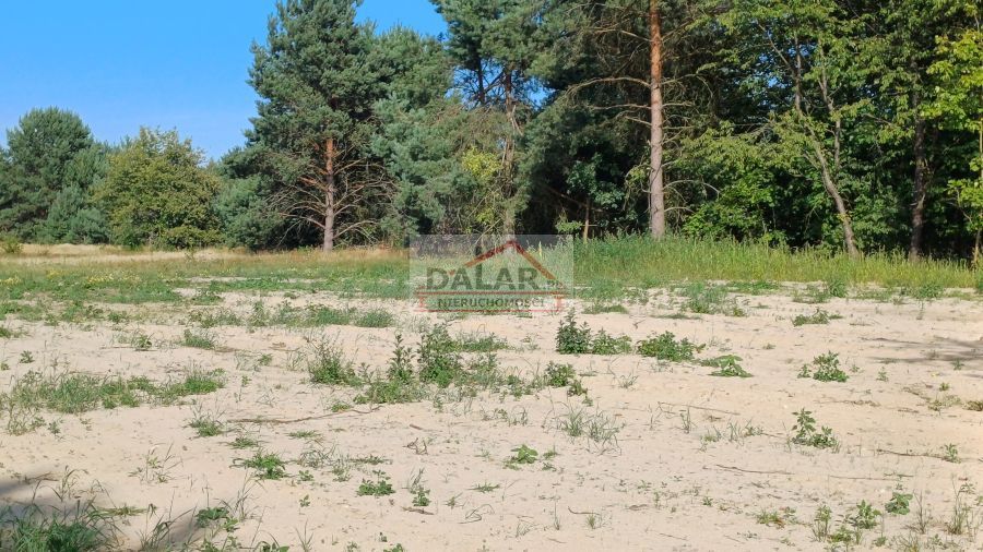 Działka budowlana Grabów nad Pilicą. Zdjęcie 8