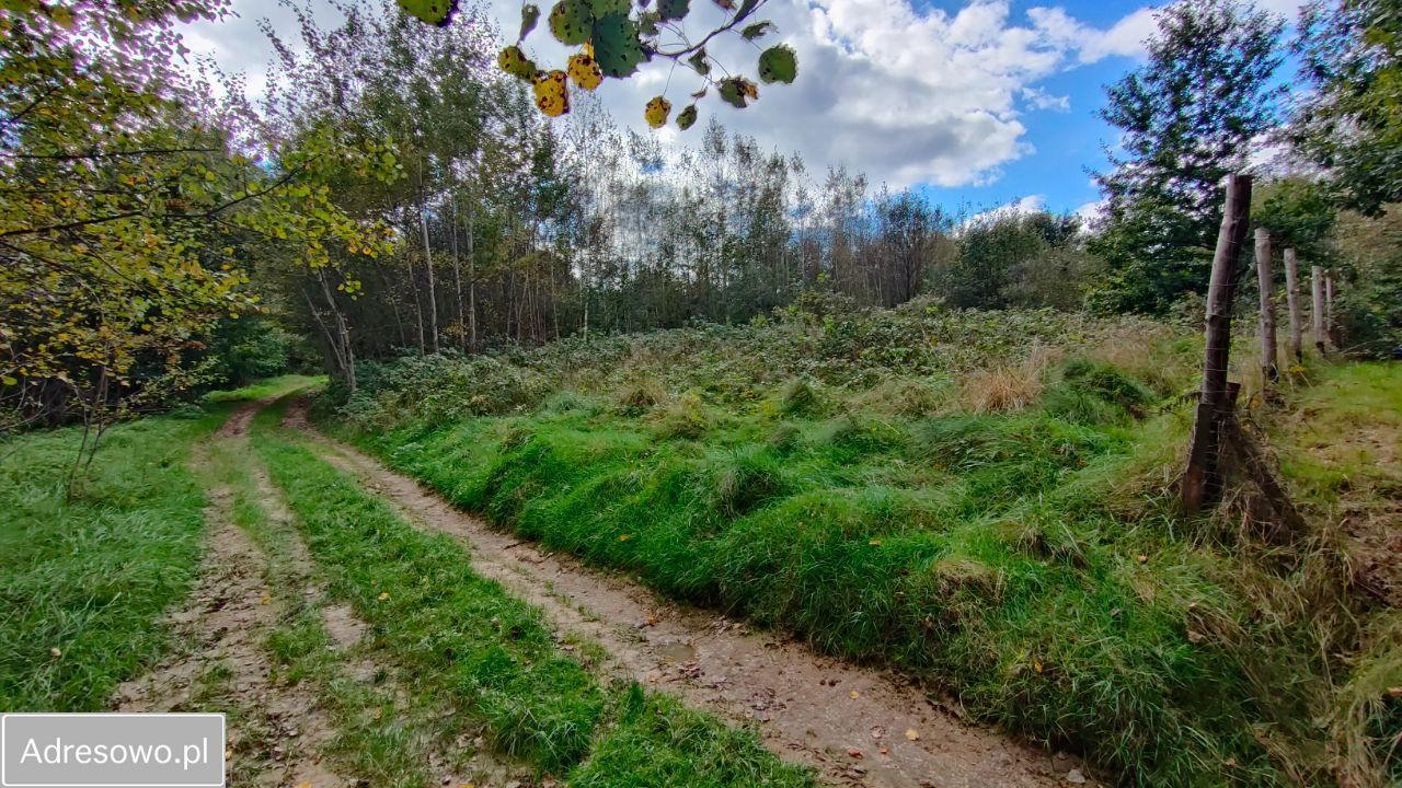 Działka rolno-budowlana Wola Radziszowska. Zdjęcie 7