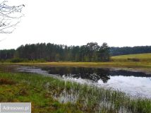 Działka rolna Gliśnica. Zdjęcie 4