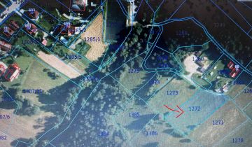 Działka rolna Stara Wieś Rola