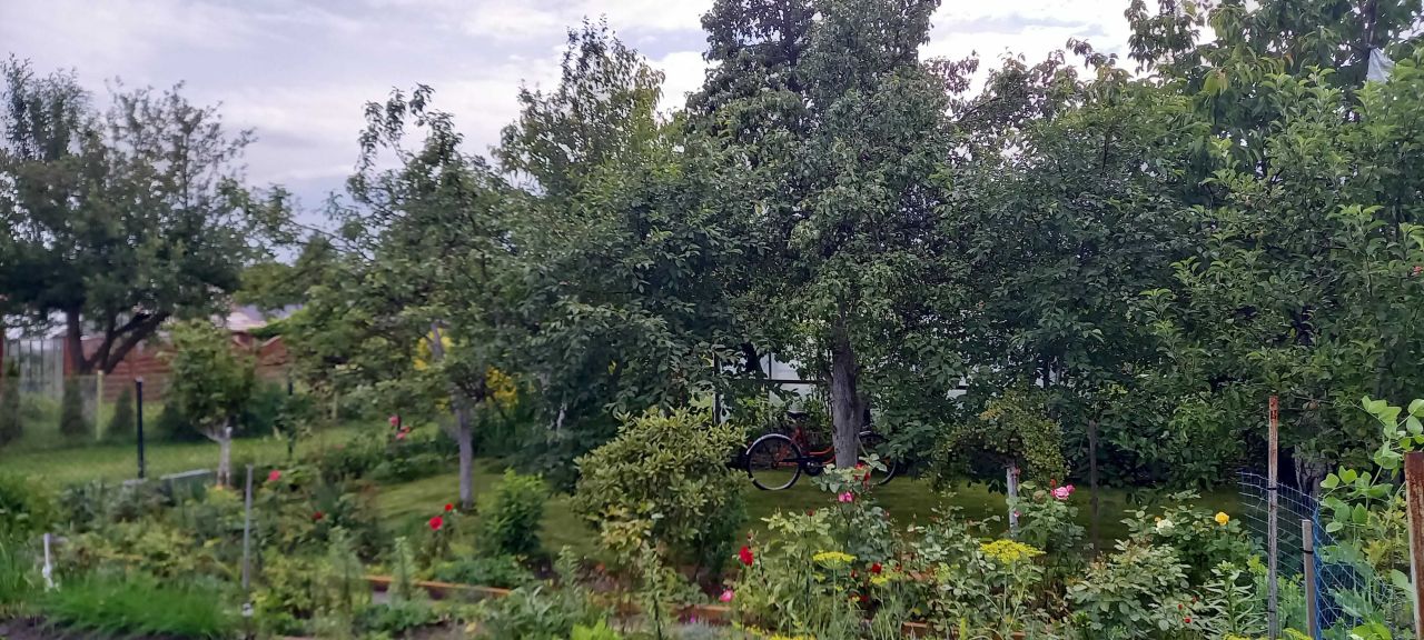 Działka rod Goleniów, ul. Polna. Zdjęcie 8