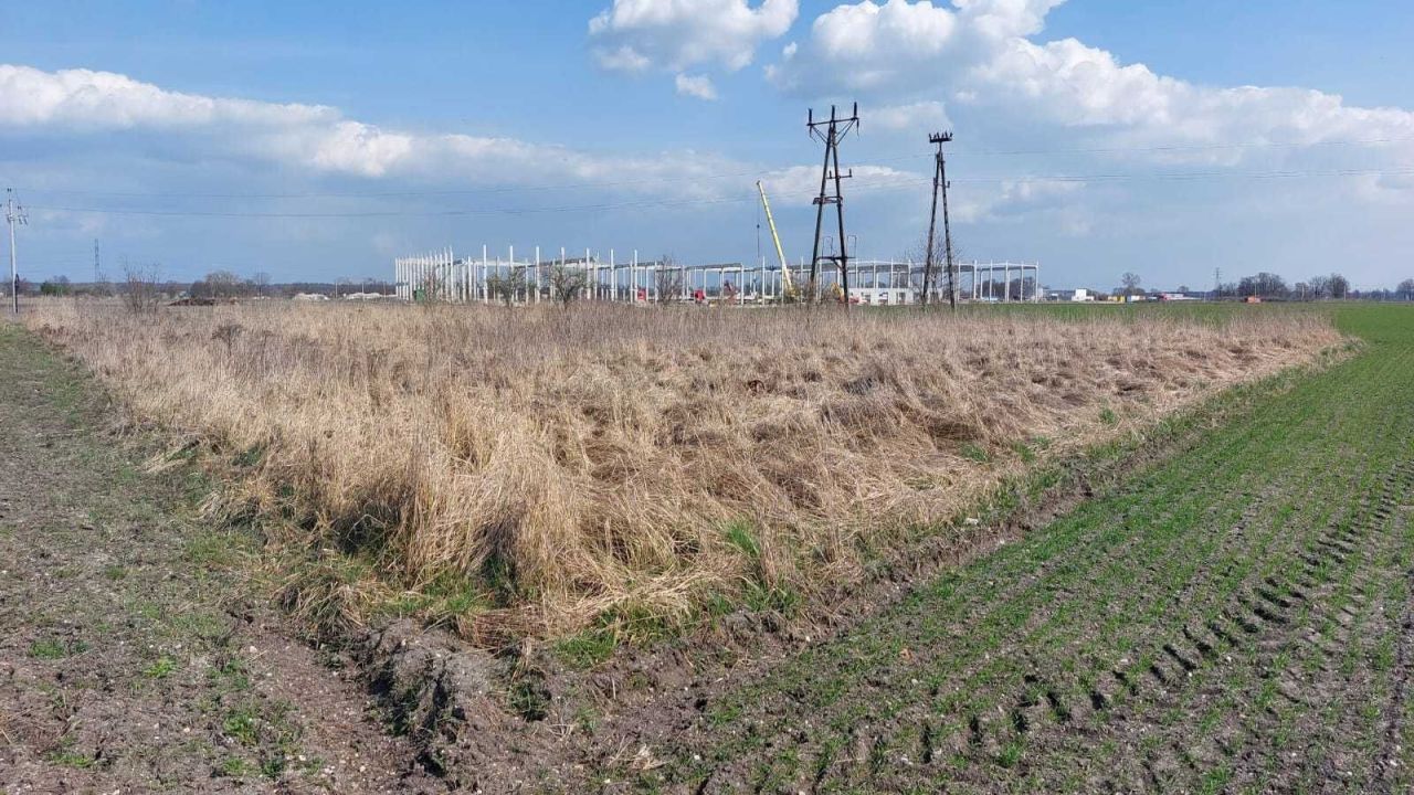 Działka inwestycyjna Suchy Bór, ul. Tartaczna. Zdjęcie 8