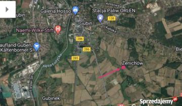 Działka budowlana Żenichów, łąkowa