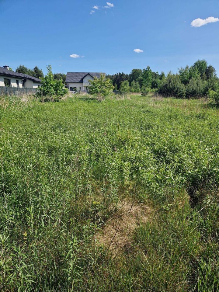 Działka budowlana Wojciechowice, ul. Lipowa. Zdjęcie 4