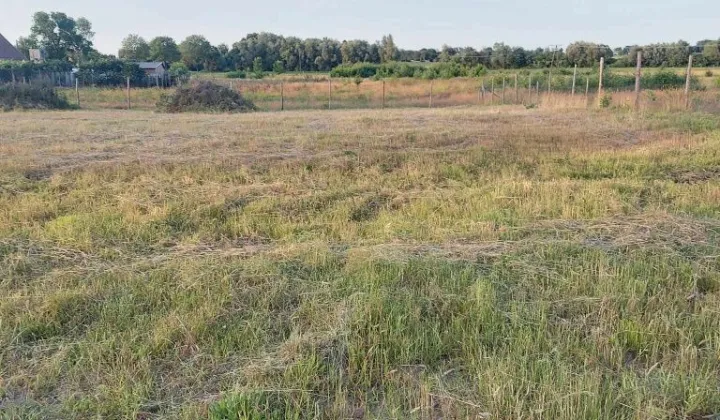 Działka budowlana Stara Dąbrowa