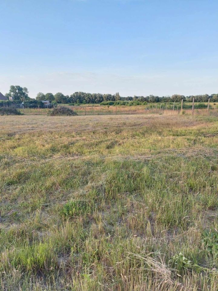 Działka budowlana Stara Dąbrowa