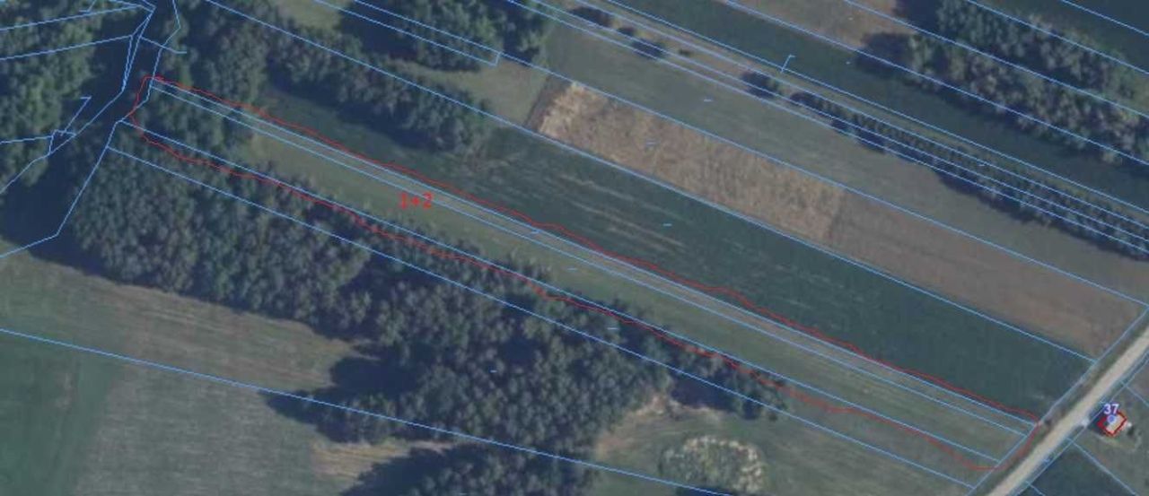 Działka rolno-budowlana Przeździecko-Jachy. Zdjęcie 3