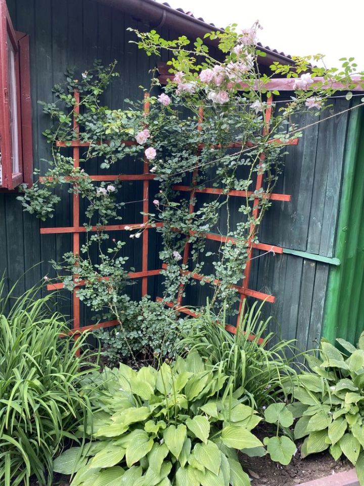 Działka rod Płock. Zdjęcie 5