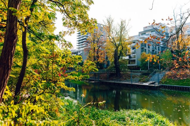 Mieszkanie 2-pokojowe Wrocław Stare Miasto, ul. Walońska. Zdjęcie 7