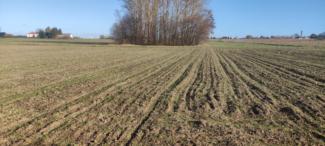 Działka budowlana Szopinek Stara Wieś. Zdjęcie 2