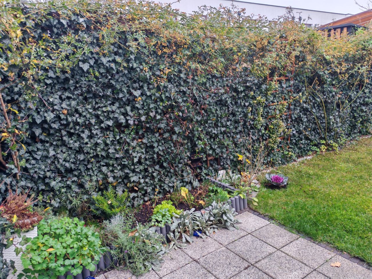 dom szeregowy, 4 pokoje Nowy Dwór Mazowiecki Osiedle Młodych, ul. Szmaragdowa. Zdjęcie 17