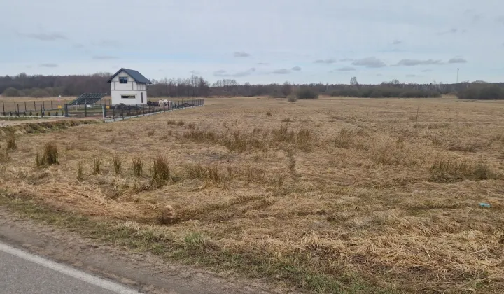 Działka rolna Prusy