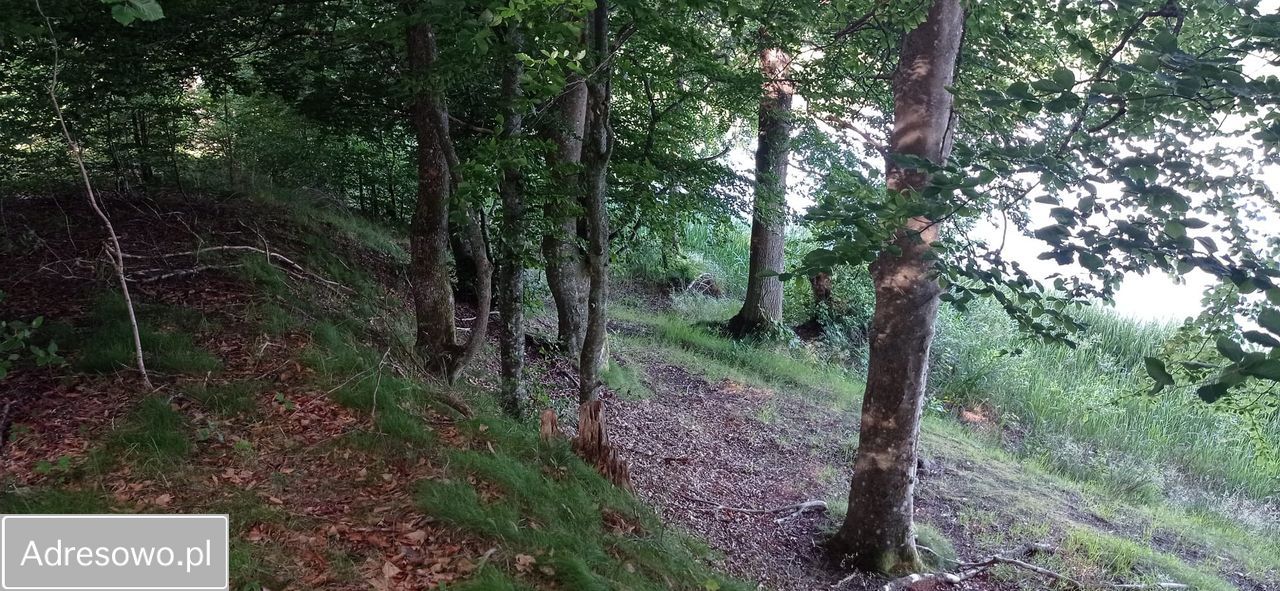 Działka budowlana Cetuń. Zdjęcie 13