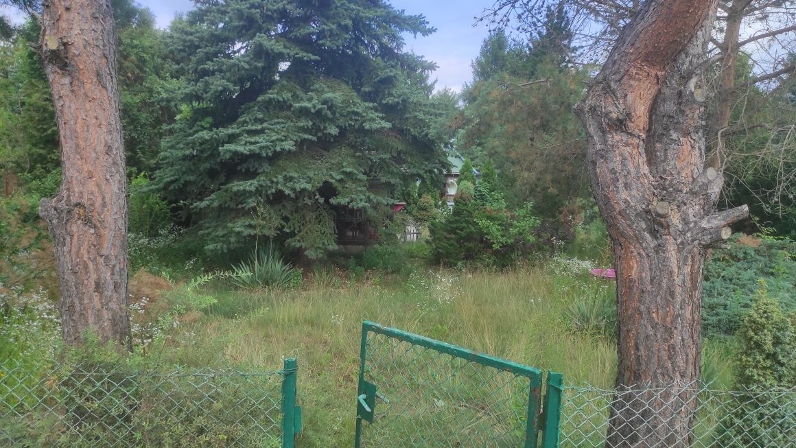 Działka rod Warszawa Targówek, ul. Janowiecka. Zdjęcie 4