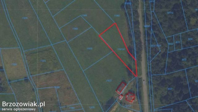 Działka budowlana Golcowa Różanka. Zdjęcie 1