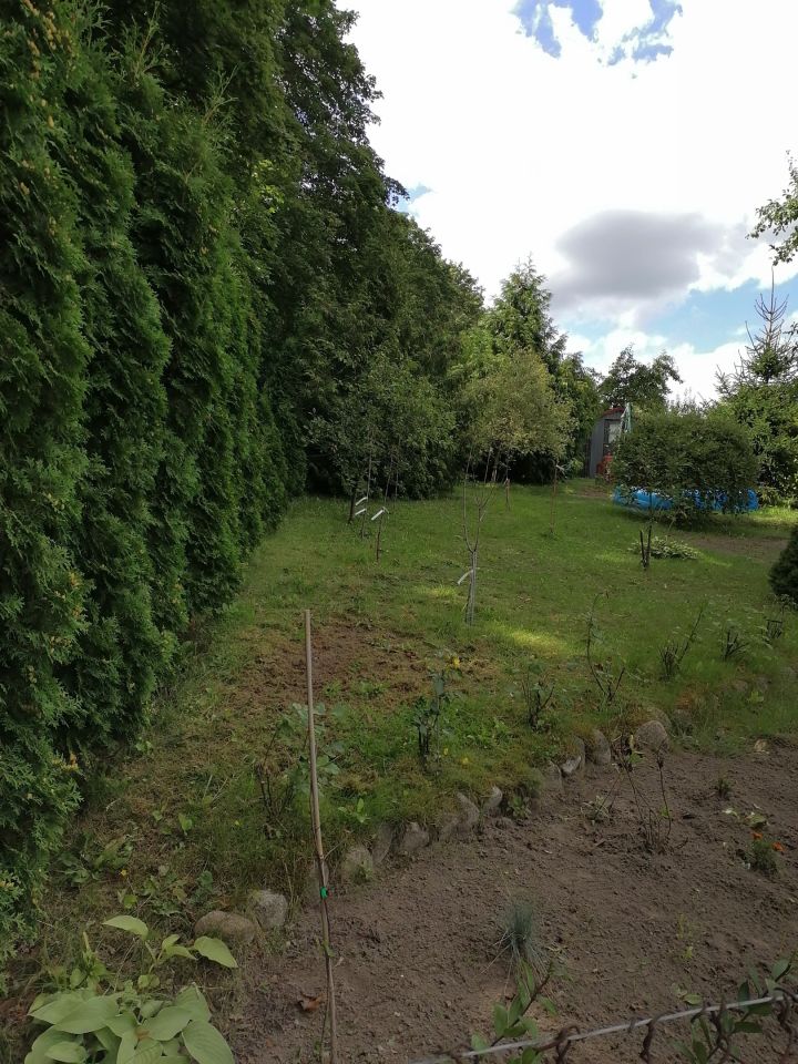 Działka rod Gorzów Wielkopolski Piaski, ul. Żwirowa. Zdjęcie 4