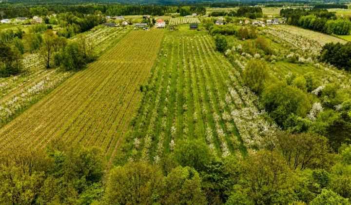 Działka budowlana Kocerany, ul. Nowy Trakt
