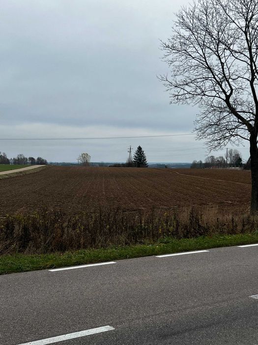 gospodarstwo Harasimowicze. Zdjęcie 2