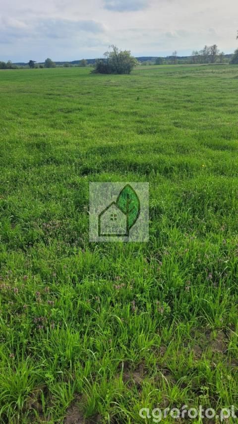 Działka budowlana Głosków. Zdjęcie 2