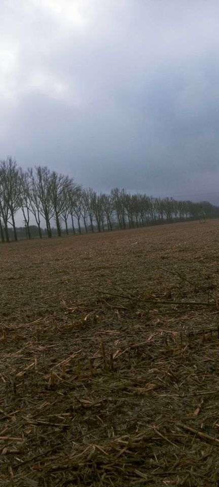 Działka rolna Koźla. Zdjęcie 3