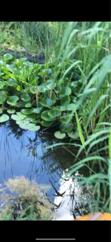 Działka rolno-budowlana Sądów. Zdjęcie 2