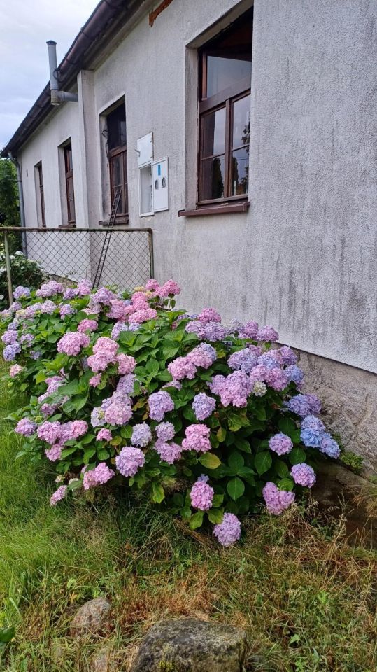inny, 5 pokoi Piotrowice Nyskie. Zdjęcie 21