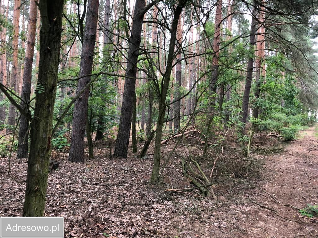 Działka budowlana Biała Panieńska. Zdjęcie 8