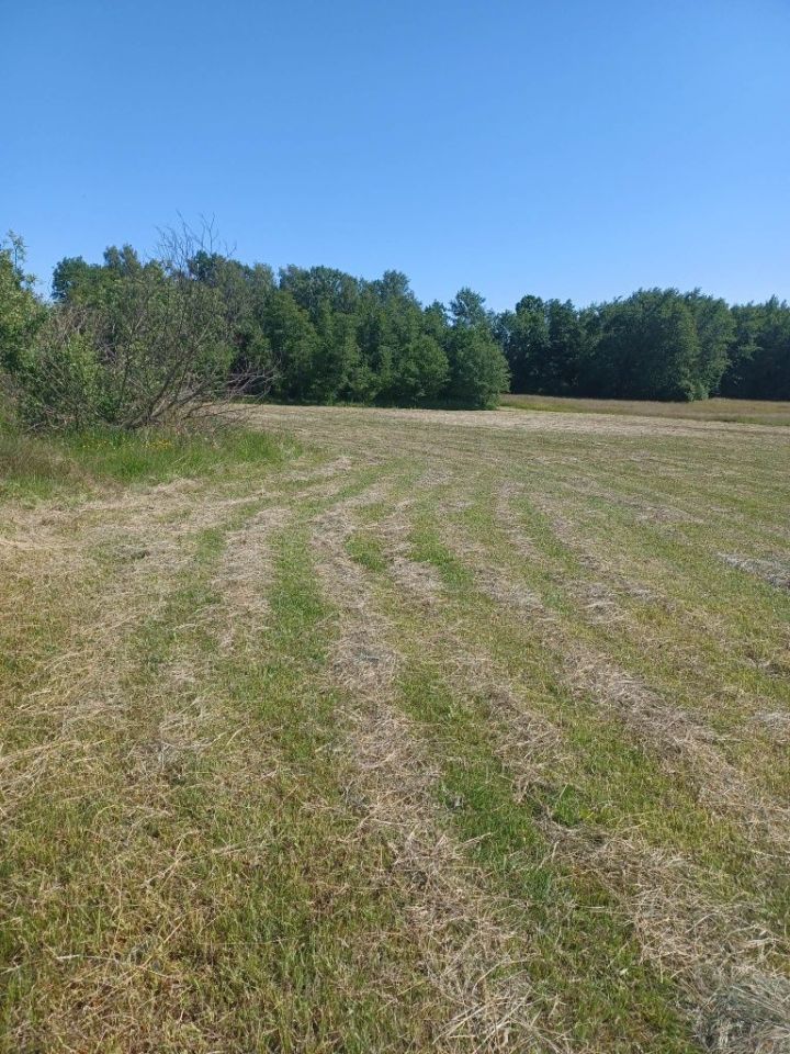 Działka budowlana Budy Ciepielińskie. Zdjęcie 4