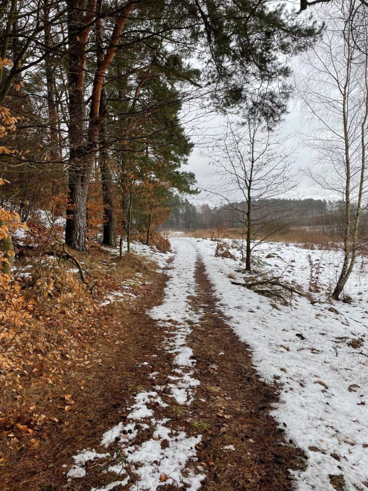Działka rolna Bożepole Królewskie. Zdjęcie 3